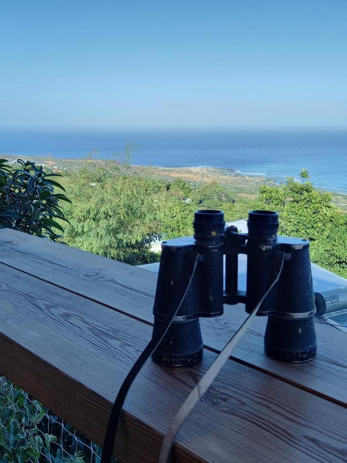 Le Noe Daire Saint-Leu Dış mekan fotoğraf